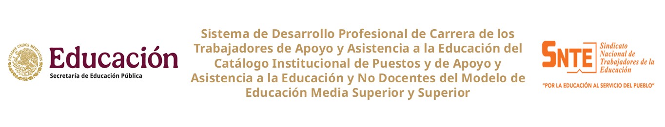 Cintillo 2026